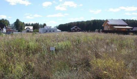 Земельный участок № 91 в Лукоморье, цена 210 000 руб/сотка